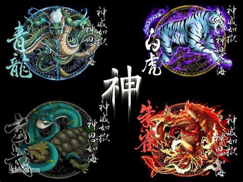 四方位神獸|聖獸:四大神獸青龍、白虎、朱雀、玄武，是中國神話。